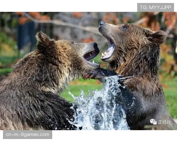 灰熊估值35亿美元 联盟最低估值仍同比增17% 灰熊估值35亿美元 联盟最低估值仍同比增17%